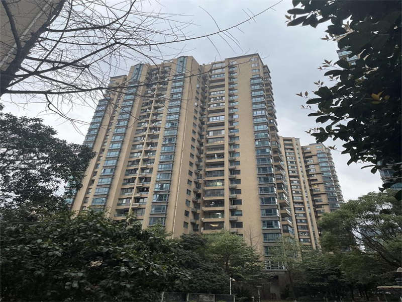 湘府9號(hào)（湘府久號(hào)家園）法拍房3棟2601、2701房